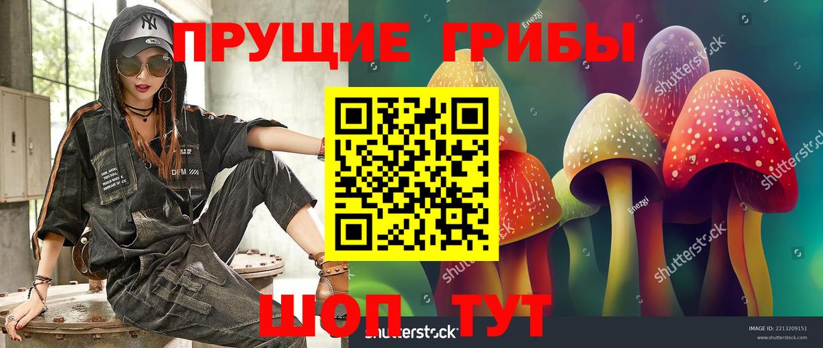 Псилоцибиновые грибы Psilocybine cubensis Дербент